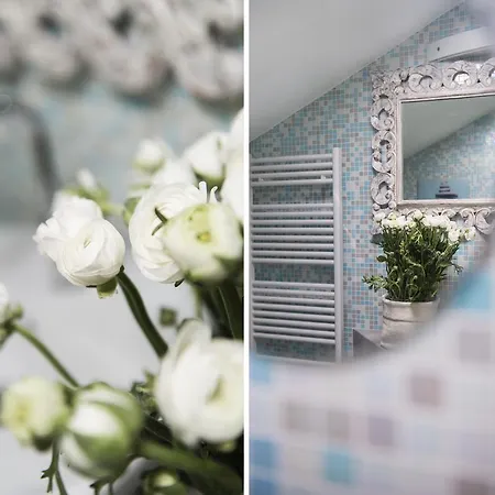 Appartement Casale